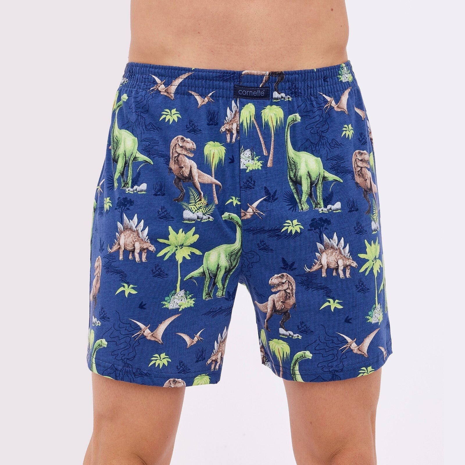 Dinosauri | boxer uomo in 100% cotone di alta qualità
